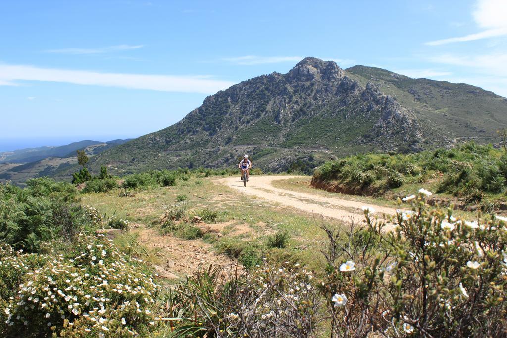 Agriturismo Piperedda Irgoli Eksteriør bilde